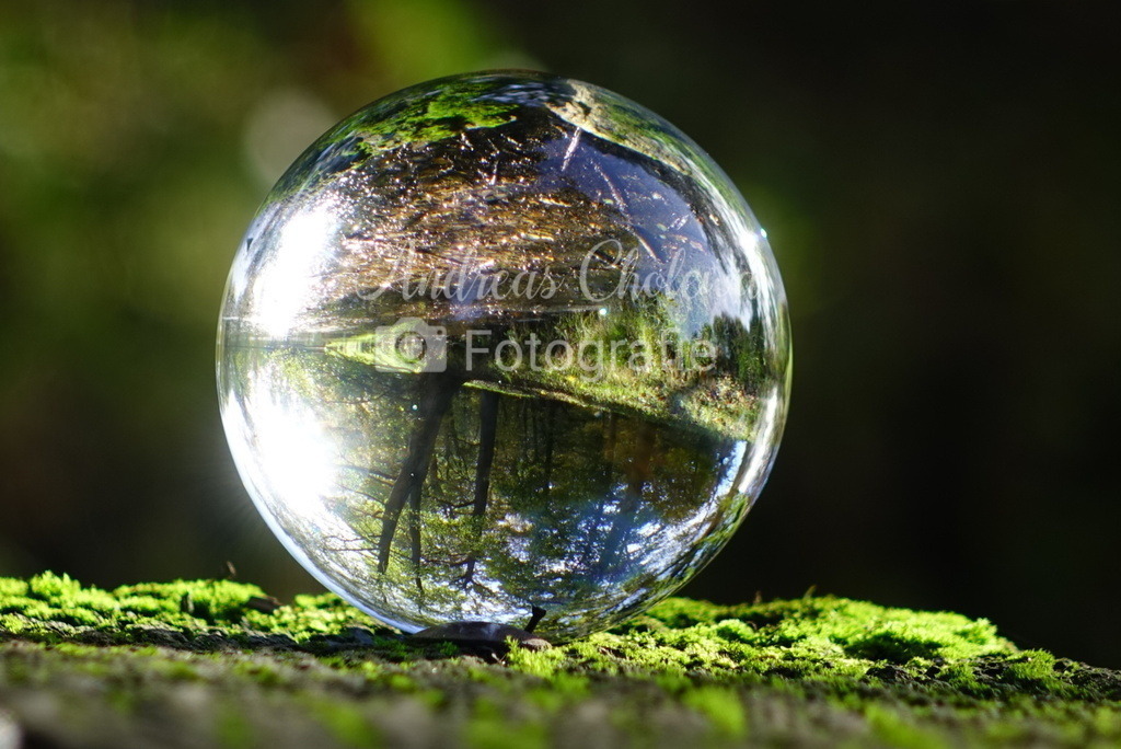 Glaskugel im Moos | Der Onlineshop für malerische Fotografien aus dem Landkreis Vechta✅ Premium Druck auf Leinwand✅ Acryl✅ oder Alu-Dibond✅➤Jetzt Bestellen! - Realisiert mit Pictrs.com