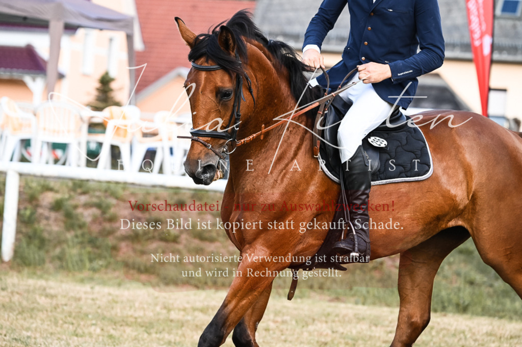 DSC_7603 | Pferde- und Turnierfotografie in Westsachsen. Pferdeportraits, Auftragszeichnungen und intuitive Kunst.