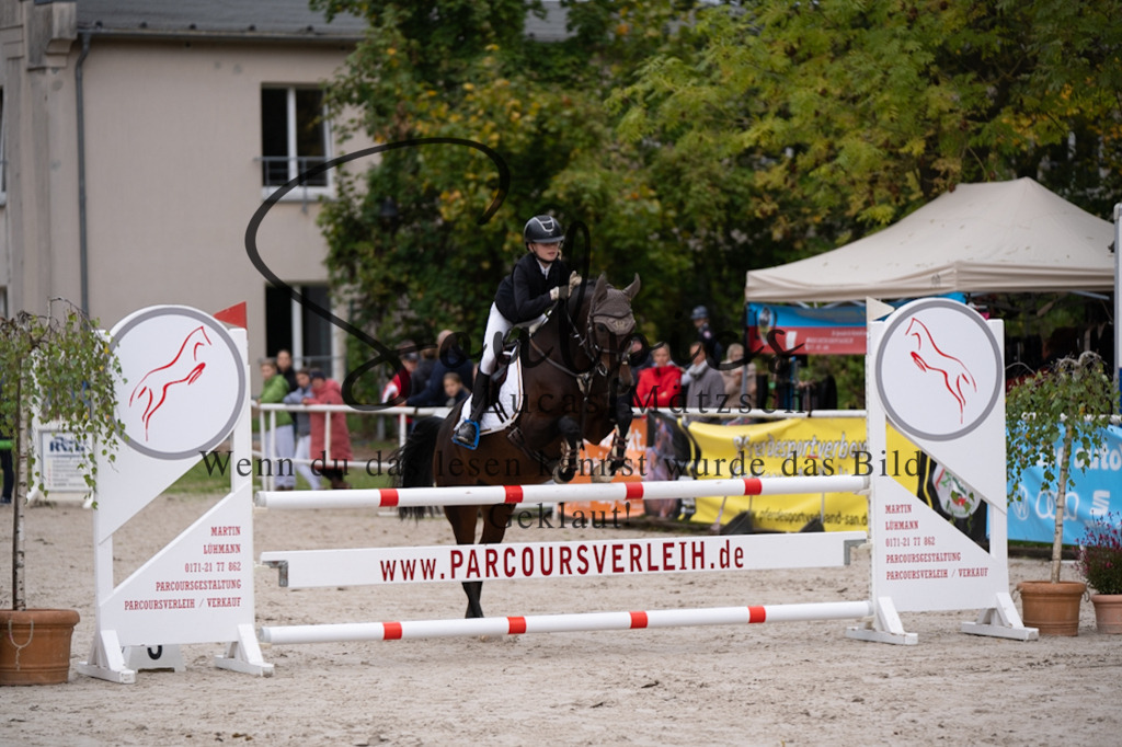 A7V07718 | Pferdefotograf