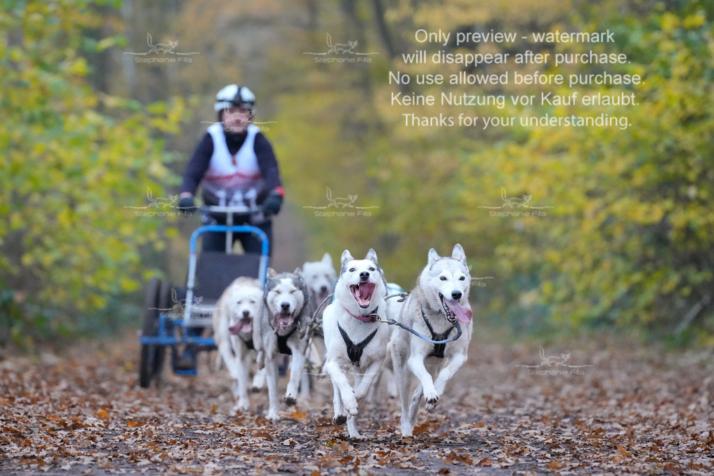 Rigs4bis8So-114 | stephaniefillaphotographie - Realisiert mit Pictrs.com