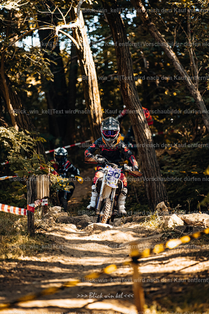 E68A5565 | blick_win_kel