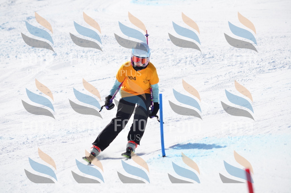 C9485 | holidayphoto