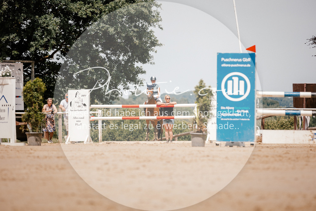 3I6A7968 | Stimmungsvolle Portraits und Reitsportfotografie im Ruhrgebiet und im Münsterland.

Pferdefotografie, Hundefotografie, Tierfotografie, Reportagen, Portraits von Tier und Mensch, Turnierfotografie in Bochum, Recklinghausen, Marl, Haltern am See, Dülmen.. - Realisiert mit Pictrs.com