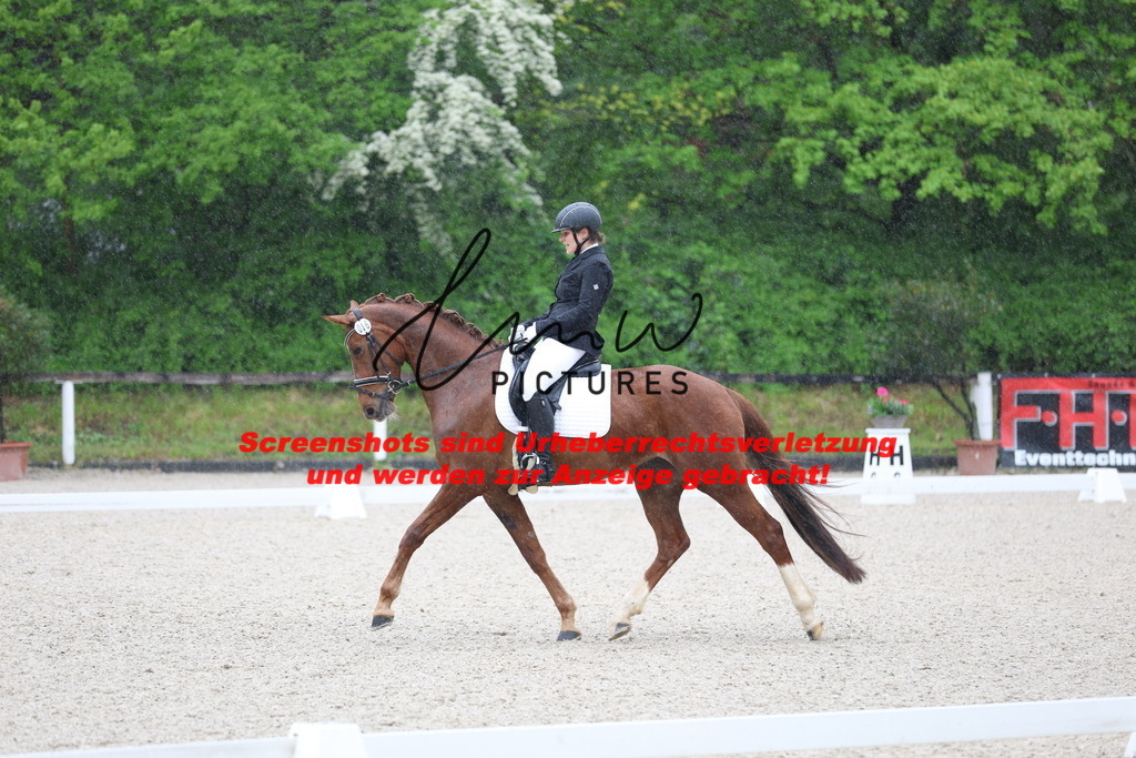 A40A7243 | lmwpictures - Realisiert mit Pictrs.com