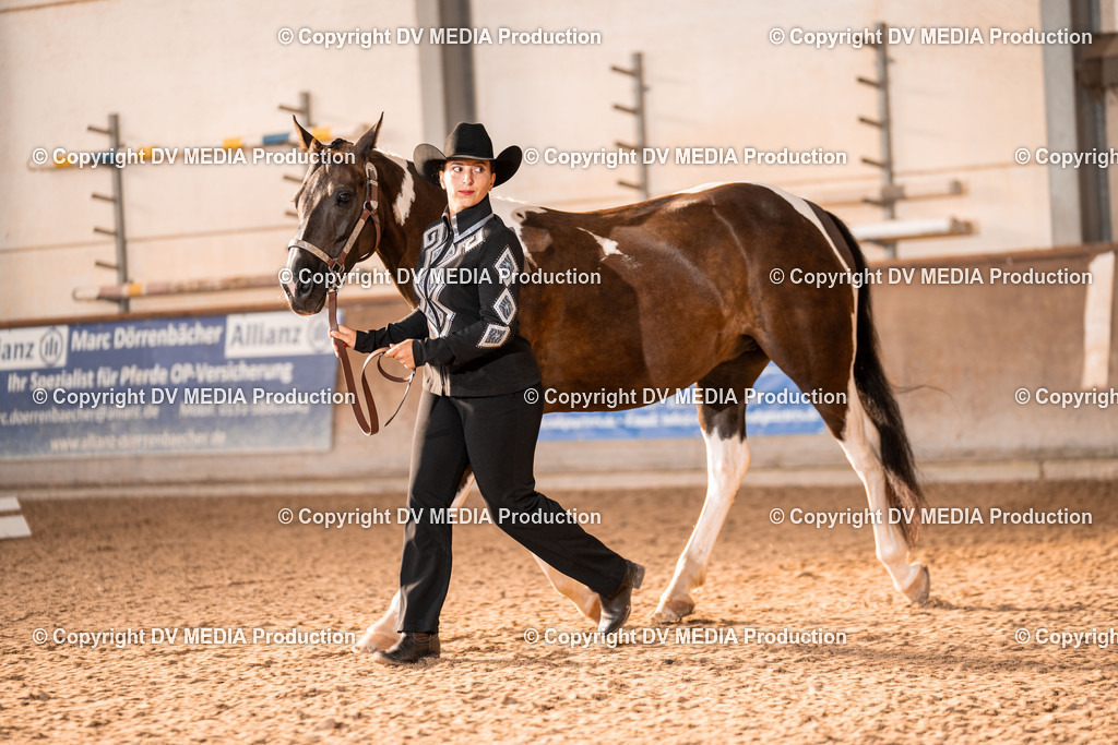 LM Heiligenwald Tag 1-19 | dv-media-shop - Realisiert mit Pictrs.com