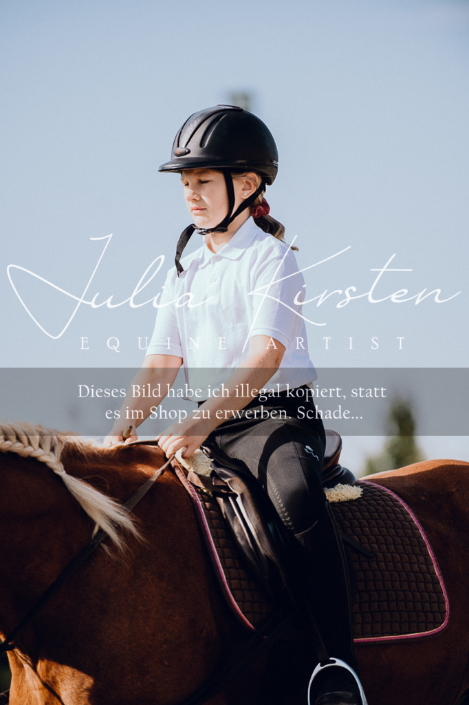 DSC_7001 | Pferde- und Turnierfotografie in Westsachsen. Pferdeportraits, Auftragszeichnungen und intuitive Kunst.