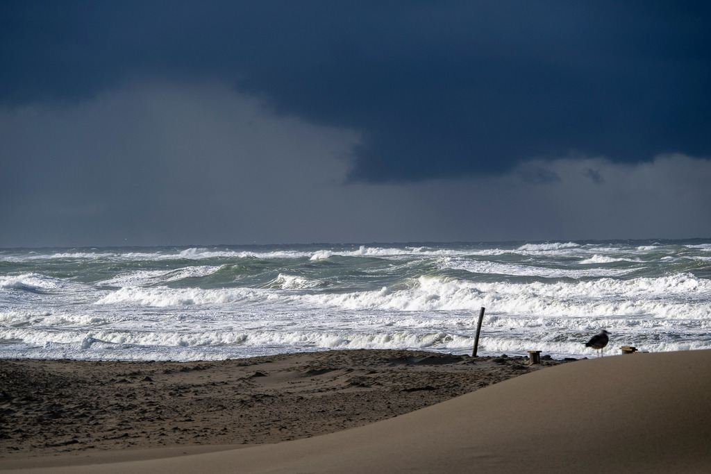 251027_Texel_3190_mr | Entdecke exklusive Fotografie im muebri Shop: Stimmungsvolle Motive  Naturaufnahmen und mehr. Jetzt hochwertige Wandbilder und Fotoabzüge online kaufen! - Realisiert mit Pictrs.com