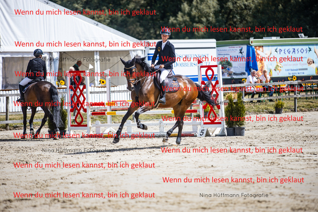 BK1A5116 | Turnierbilder Turnierfotos Nina Hüffmann Turnierfotografie Pferdefotografie Tierzeichnung Haustierzeichnung Pferdezeichnung Hundezeichnung Videograf  - Realisiert mit Pictrs.com