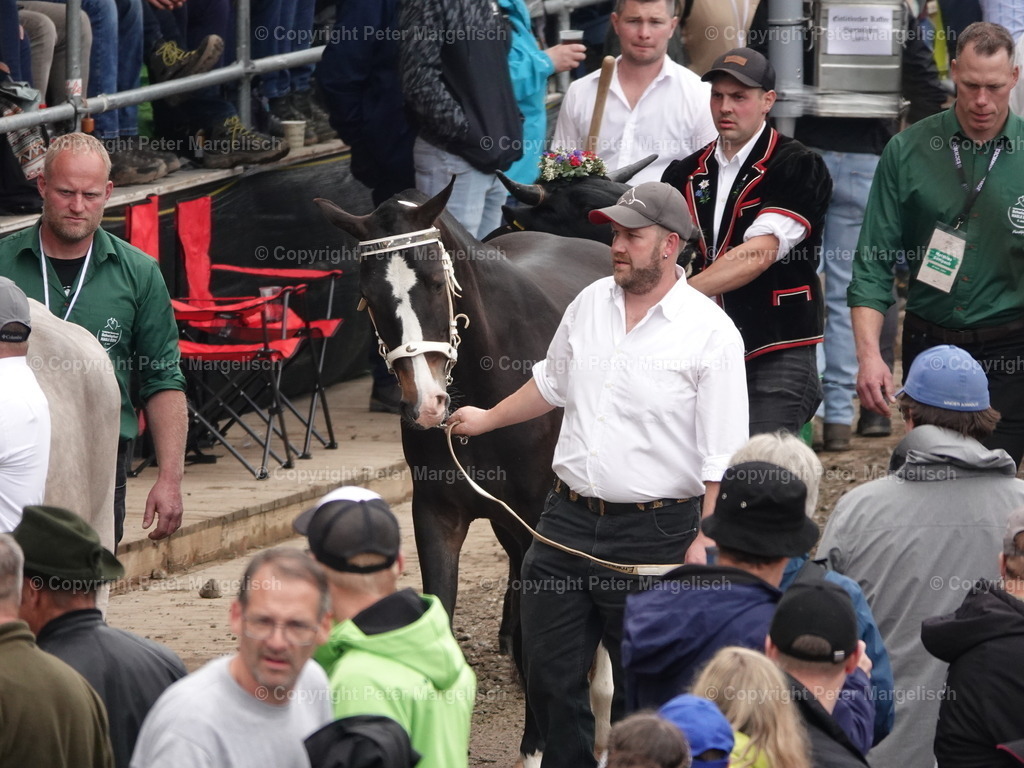 DSC07664 | Schwingen - Realisiert mit Pictrs.com
