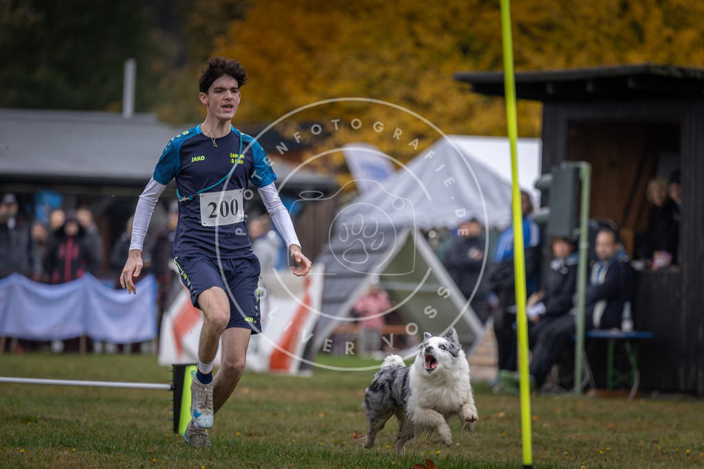 Pfotenfotografie_DV3A0842 | Hundefotografie, Tierfotograf, Pfotenfotografie, Fotoshooting Hund, Hunde Portrait, Hundesport, Hundeportraits, Heideshooting, Hunde, Sportfotograf, Hundefotograf, Turnierhundsport, THS,  - Realisiert mit Pictrs.com