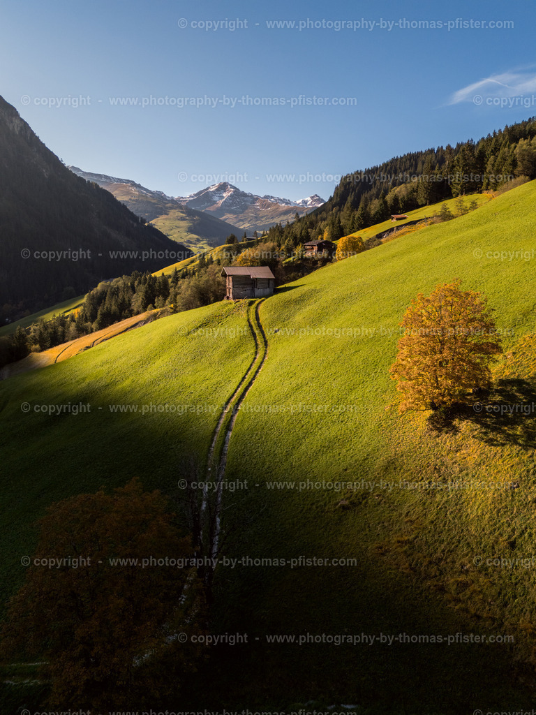 Herbst Tux copyright  Thomas Pfister-2 | PHOTOGRAPHY BY THOMAS PFISTER