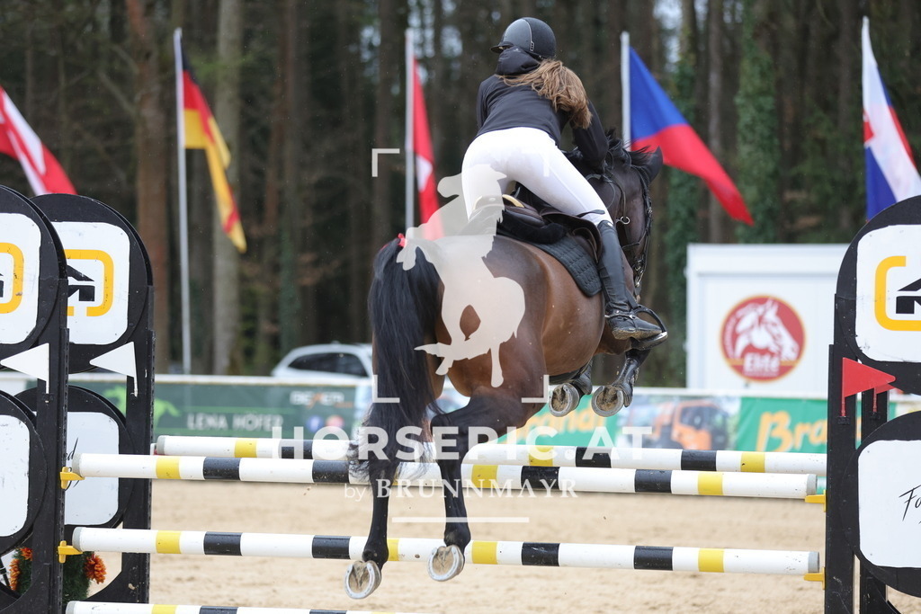 0P6A6747 | Willkommen bei Brunnmayr - Design & Fotografie – Ihrem Spezialisten für Reitturniere und Pferdeveranstaltungen in Oberösterreich, Salzburg und Bayern! Seit über 17 Jahren sind wir leidenschaftlich dabei.