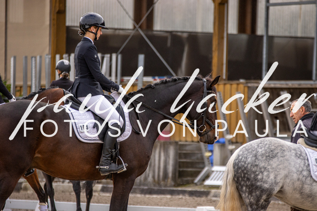 IMG_3041 | Erleben Sie dynamische Sport- und emotionale Tierfotografie in Süddeutschland mit Fotos von Paula. Spezialisiert auf Pferde- und Hundefotografie sowie Sportevents. Kontaktieren Sie mich für einzigartige und ausdrucksstarke Bilder Ihrer besonderen Momente.