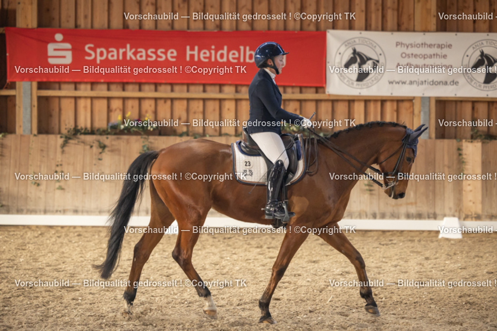 _D5A3247 | Emotionale Pferde- & People-Fotografie rund um Heidelberg, Leimen & Umgebung. Natürliche Fotos von Pferd, Mensch & Familie. Jetzt Termin sichern!