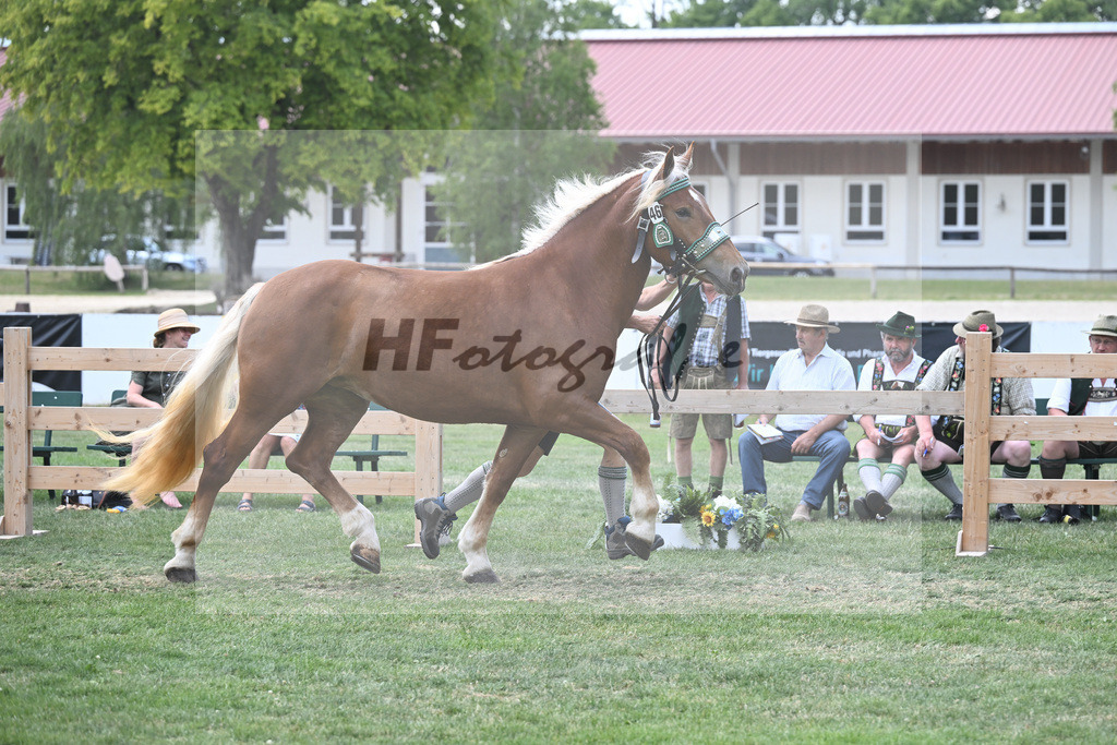 Kat-Nr. 46 Mirabella_Hartl_20230733 | hf-fotografie - Realisiert mit Pictrs.com