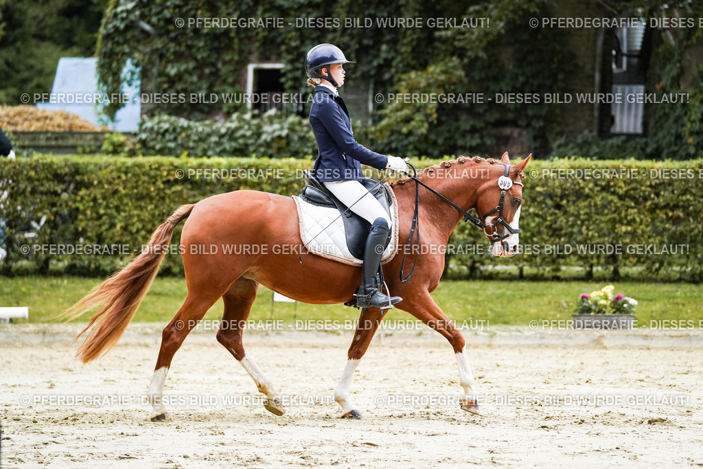 DSC07480 | Pferdegrafie