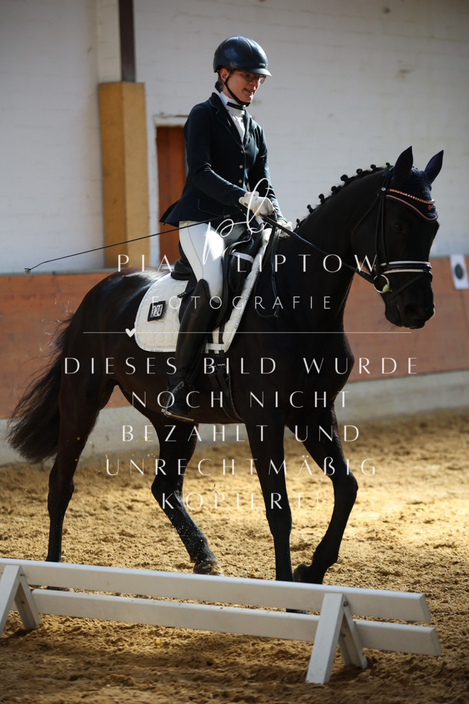 IMGT6532 | pl-fotografie