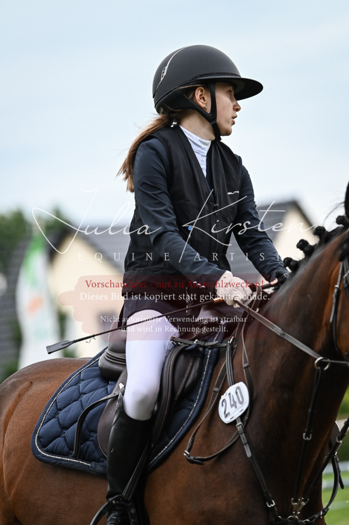 DSC_8473 | Pferde- und Turnierfotografie in Westsachsen. Pferdeportraits, Auftragszeichnungen und intuitive Kunst.