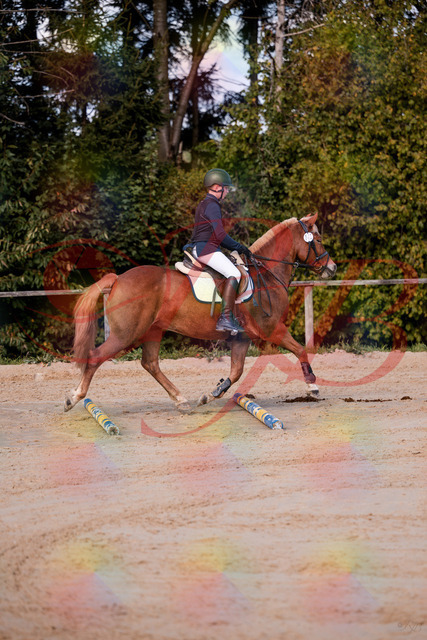 2026_10_03_Siefer-Hof_144625_Z81_22454322 | Professionelle Reitsport-, Turnier- und Eventfotografie von Robert Broda. Galerien mit ausgewählten und bearbeiteten Bildern direkt online ansehen und bestellen.
