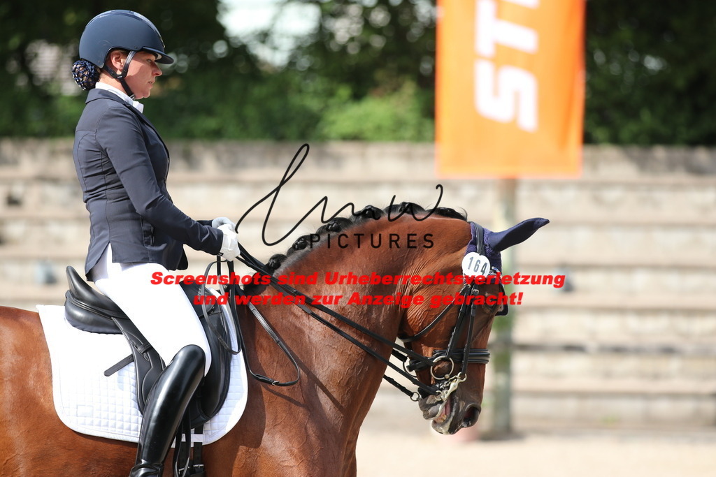 IMG_6527 | lmwpictures - Realisiert mit Pictrs.com