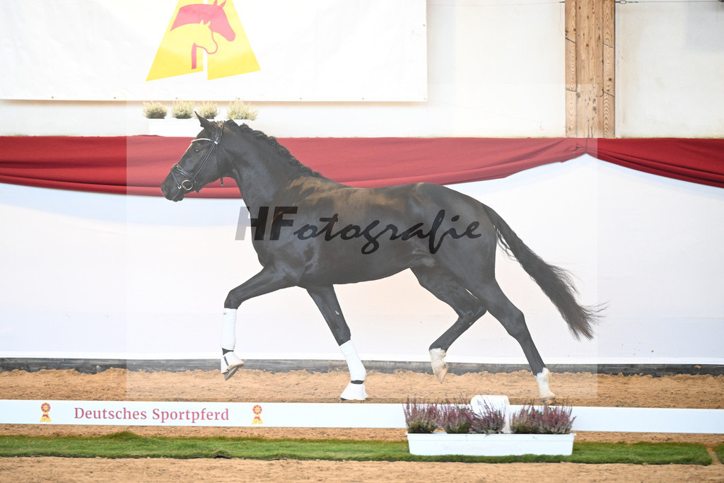 Kat-Nr. 39 Iron x Fuerst Romancier_Gerdes_47240982 | hf-fotografie - Realizzato con Pictrs.com