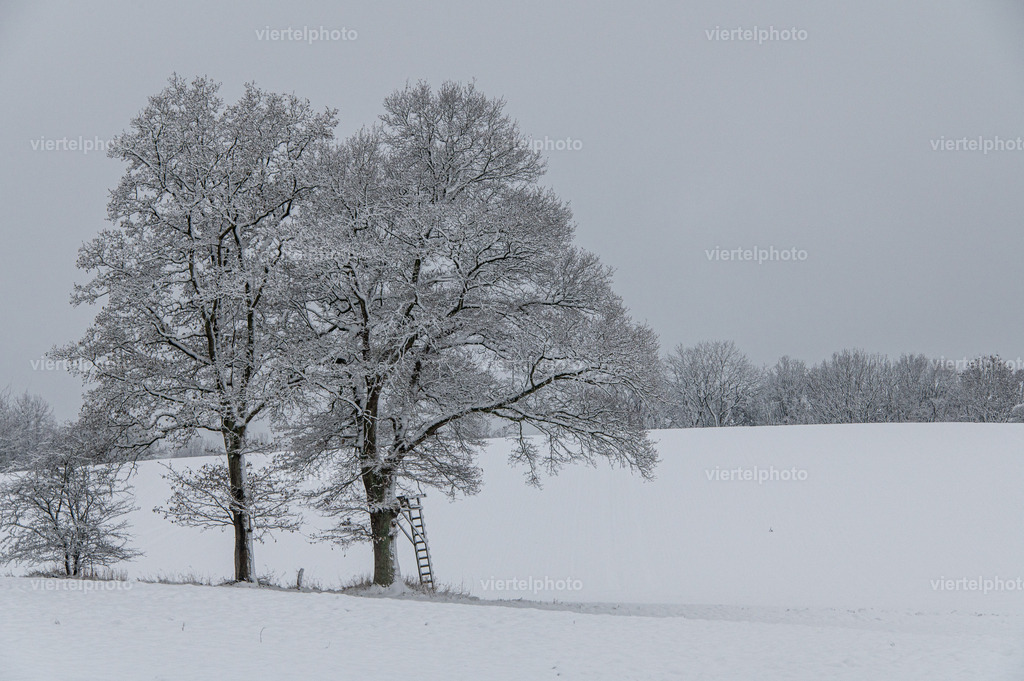 Winterstimmung | viertelphoto - Realisiert mit Pictrs.com