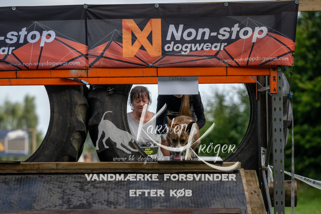 0938_ZZ90917 | kk-dogfotos