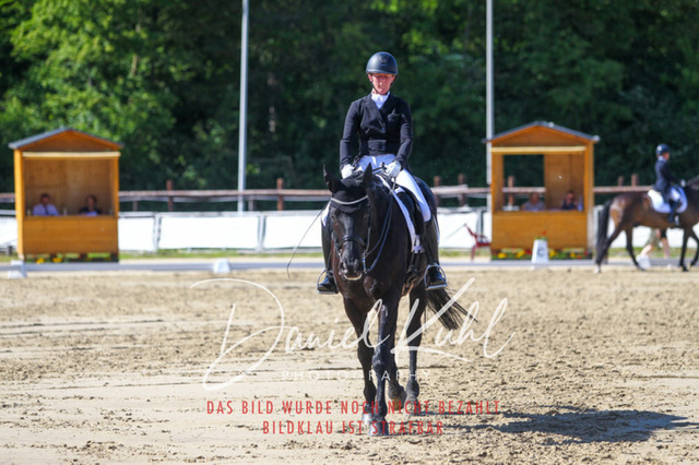 DKP42539 | Turniersportfotografie; Pferdefotografie; Dressurfotografie