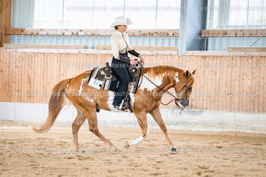 DSC02256 | Pferdegrafie