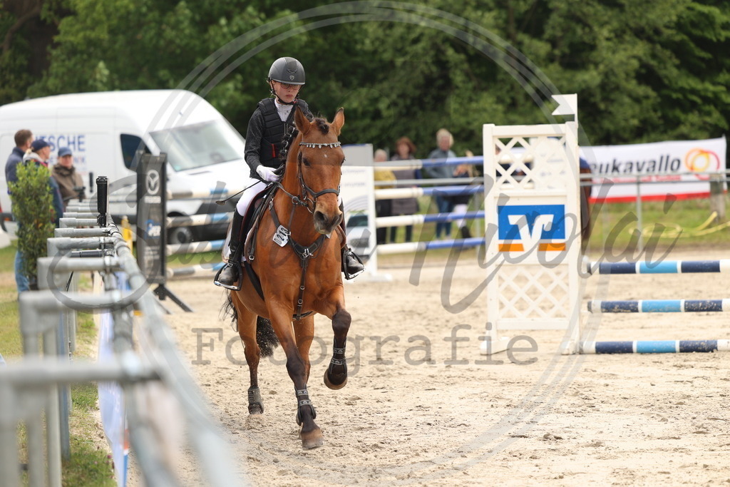 994A8898 | sabrinanicolaifotografie - Realisiert mit Pictrs.com