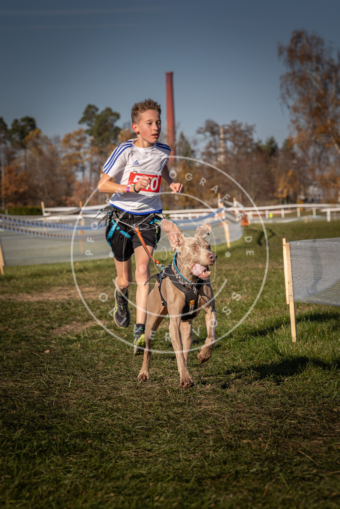 CaniXpix_0L8A7561 | Hundefotografie, Tierfotograf, Pfotenfotografie, Fotoshooting Hund, Hunde Portrait, Hundesport, Hundeportraits, Heideshooting, Hunde, Sportfotograf, Hundefotograf, Turnierhundsport, THS,  - Realisiert mit Pictrs.com