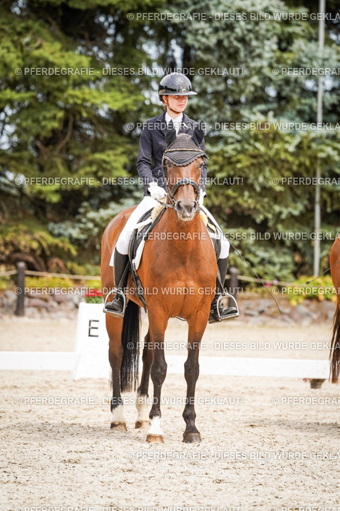 DSC04524 | Pferdegrafie