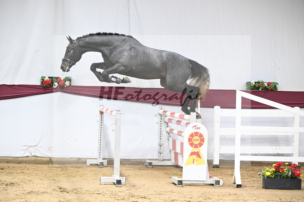 Kat-Nr. 87 Simply de Regor x Carano_PBM Pfefferle GmbH_47253045 | hf-fotografie - Realisiert mit Pictrs.com