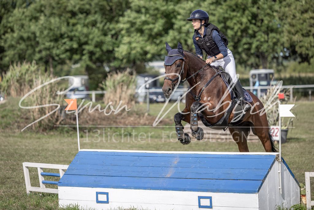 20250907-_3LI9465 | Tierfotografie Pferde, Hunde, Katzen, Haustiere.
Turnierfotografie Reitturniere, Reiten, Springreiten, Dressur in Hanau, dem Main-Kinzig-Kreis und dem Rhein-Main- Gebiet um Frankfurt