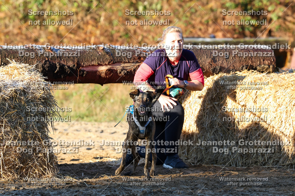 Dog Paparazzi - Strongdog 10-25-770 | Dog Paparazzi Jeanette Grottendiek Fotografie & Videografie - Realisiert mit Pictrs.com