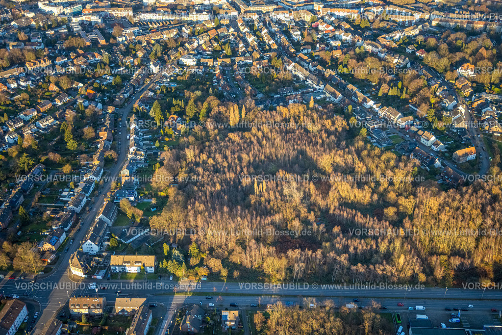 Bottrop251204443 | Luftbild, Park und Waldstück grüne Lunge am Südring, Süd-West, Bottrop, Ruhrgebiet, Nordrhein-Westfalen, Deutschland