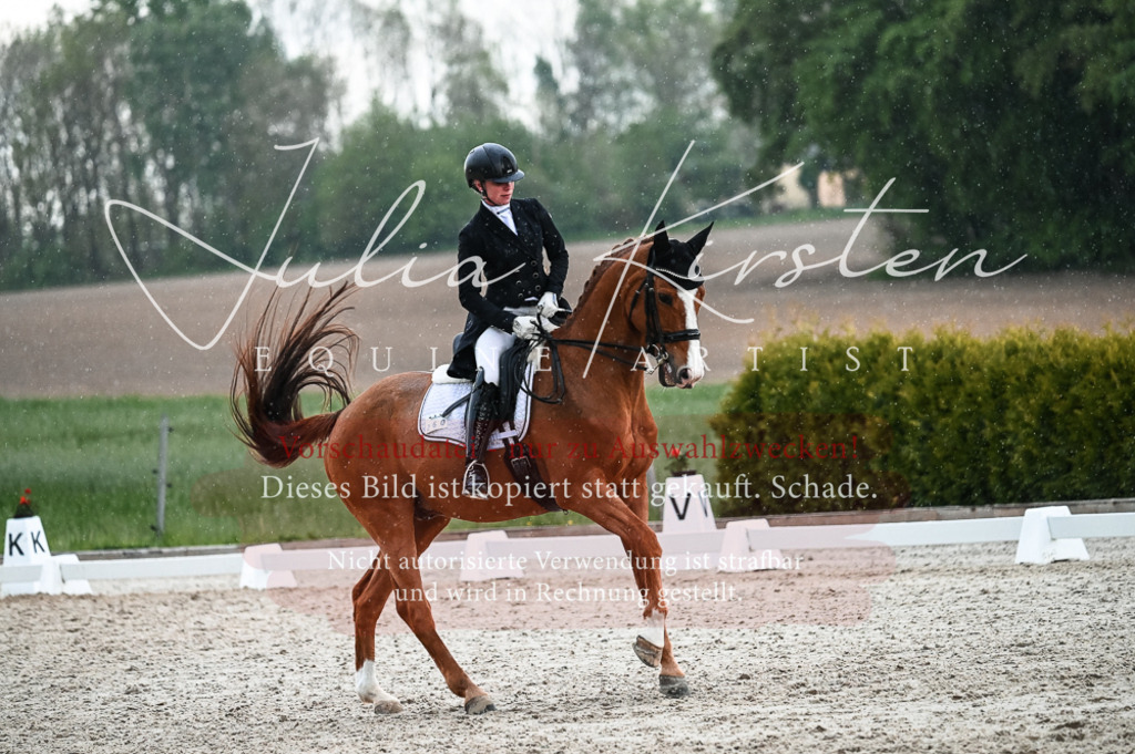 20230514_JK-Röhrsdorf-21-684 | Pferde- und Turnierfotografie in Westsachsen. Pferdeportraits, Auftragszeichnungen und intuitive Kunst.