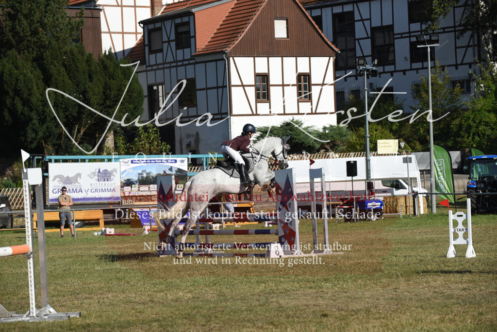 DSC_5254 | Pferde- und Turnierfotografie in Westsachsen. Pferdeportraits, Auftragszeichnungen und intuitive Kunst.