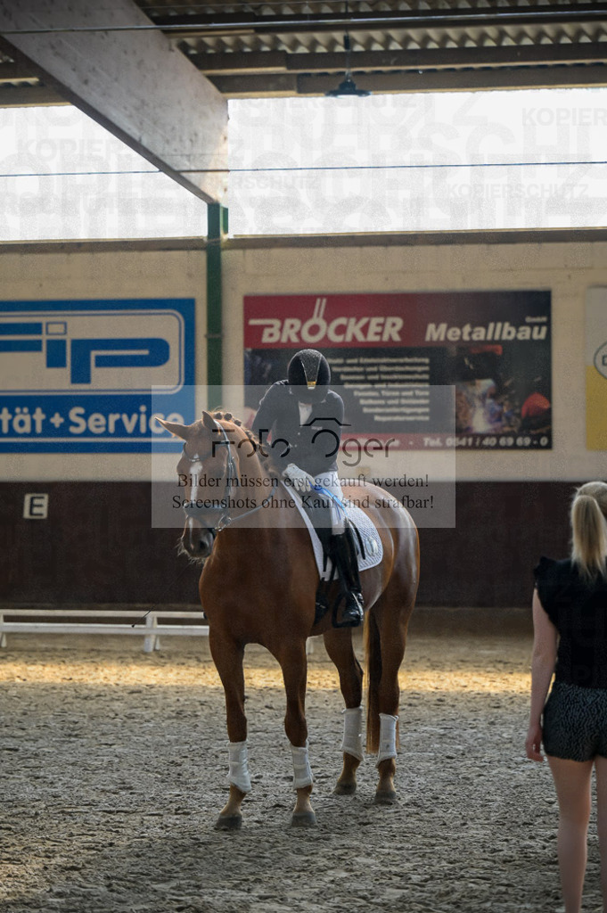 Reitturnier Voxtrup | Entdecke hochwertige Reitturnierfotos von Foto Oger. Professionell, emotional und authentisch – jetzt Lieblingsmomente im Shop bestellen.Deutschlandweite Turnierfotografie. - Realisiert mit Pictrs.com