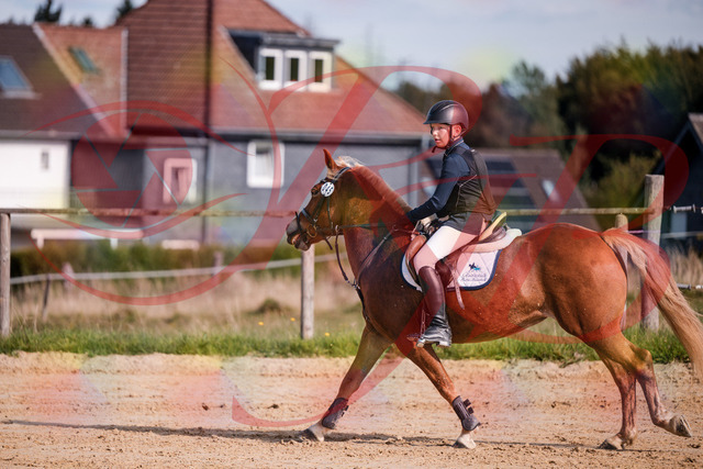 2026_10_03_Siefer-Hof_144716_Z81_24184495 | Professionelle Reitsport-, Turnier- und Eventfotografie von Robert Broda. Galerien mit ausgewählten und bearbeiteten Bildern direkt online ansehen und bestellen.