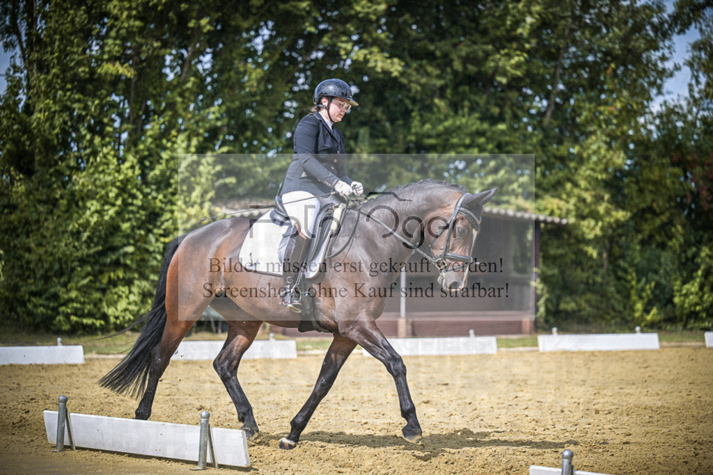 DOS_4100 | Entdecke hochwertige Reitturnierfotos von Foto Oger. Professionell, emotional und authentisch – jetzt Lieblingsmomente im Shop bestellen.Deutschlandweite Turnierfotografie. - Realisiert mit Pictrs.com