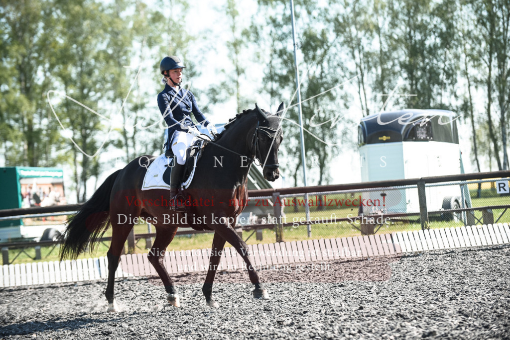 DSC_8571 | Pferde- und Turnierfotografie in Westsachsen. Pferdeportraits, Auftragszeichnungen und intuitive Kunst.