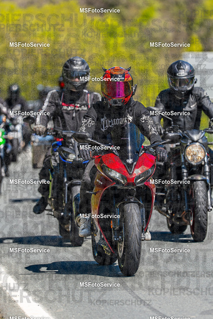 MSFotoServiceXXX160 | MSFotoService - Realisiert mit Pictrs.com