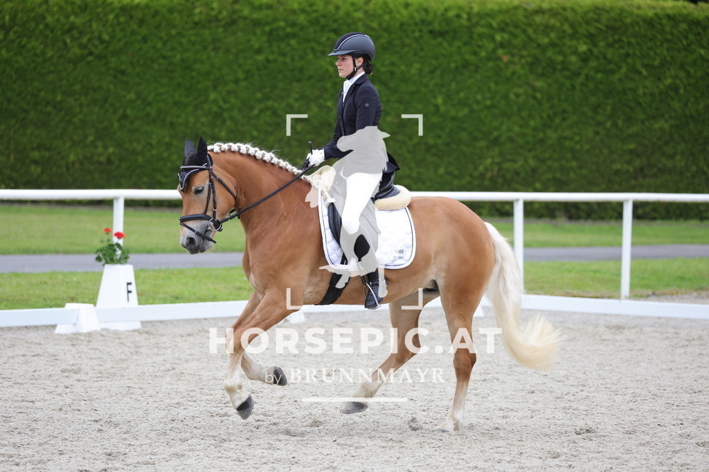 0P6A4403 | Willkommen bei Brunnmayr - Design & Fotografie – Ihrem Spezialisten für Reitturniere und Pferdeveranstaltungen in Oberösterreich, Salzburg und Bayern! Seit über 17 Jahren sind wir leidenschaftlich dabei.