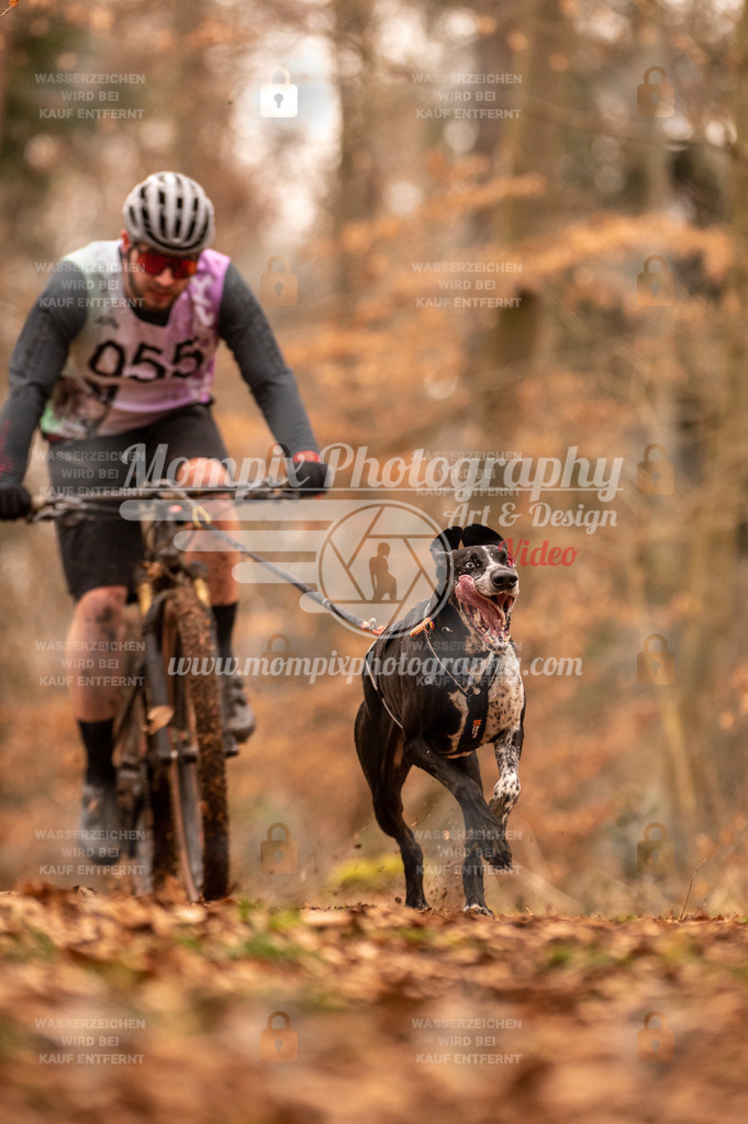 AKM_ST_2023_SAM_Bike-14 | PayLife