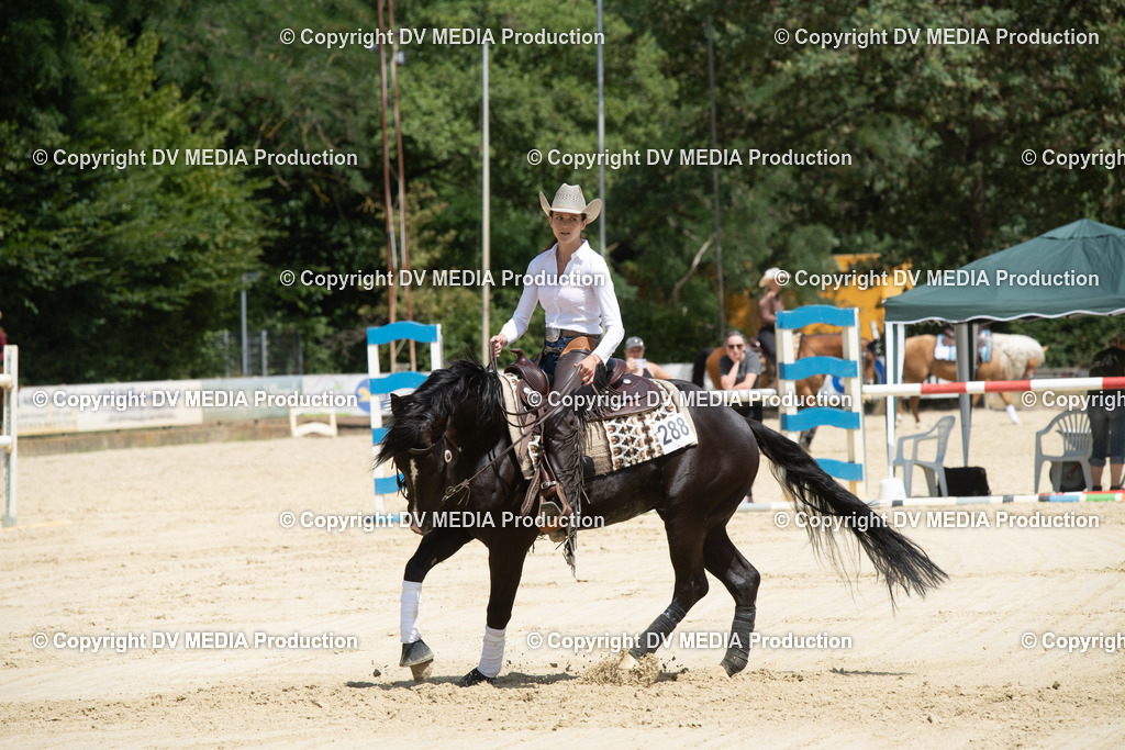 ZS3_9997 | dv-media-shop - Realisiert mit Pictrs.com