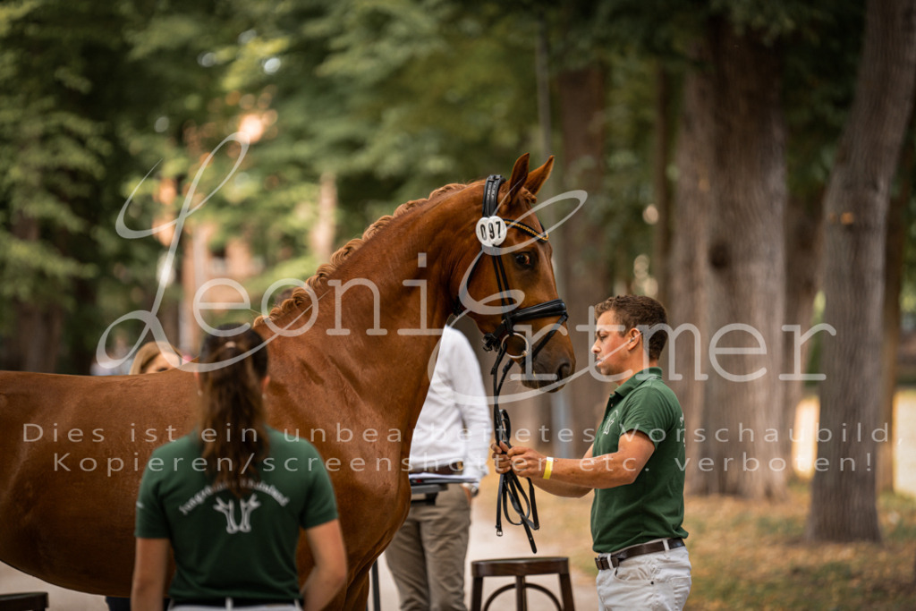 FrPfM00071 | Leoni Ertmer Photography - Realisiert mit Pictrs.com