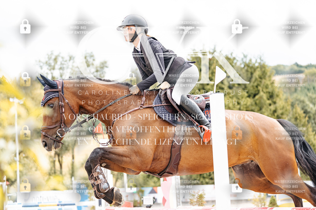 CK909808 | Turnierfotografie Pferdefotografie Trier Rheinland-Pfalz Pferdesport Reitsport Tierfotografie Sportfotografie Pferdevideo Pferdevideografie Equestrianvideography equestrianphotography  - Realisiert mit Pictrs.com