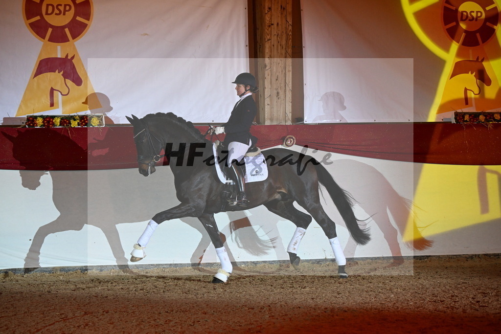 San__Haug_3262115 | hf-fotografie - Realisiert mit Pictrs.com