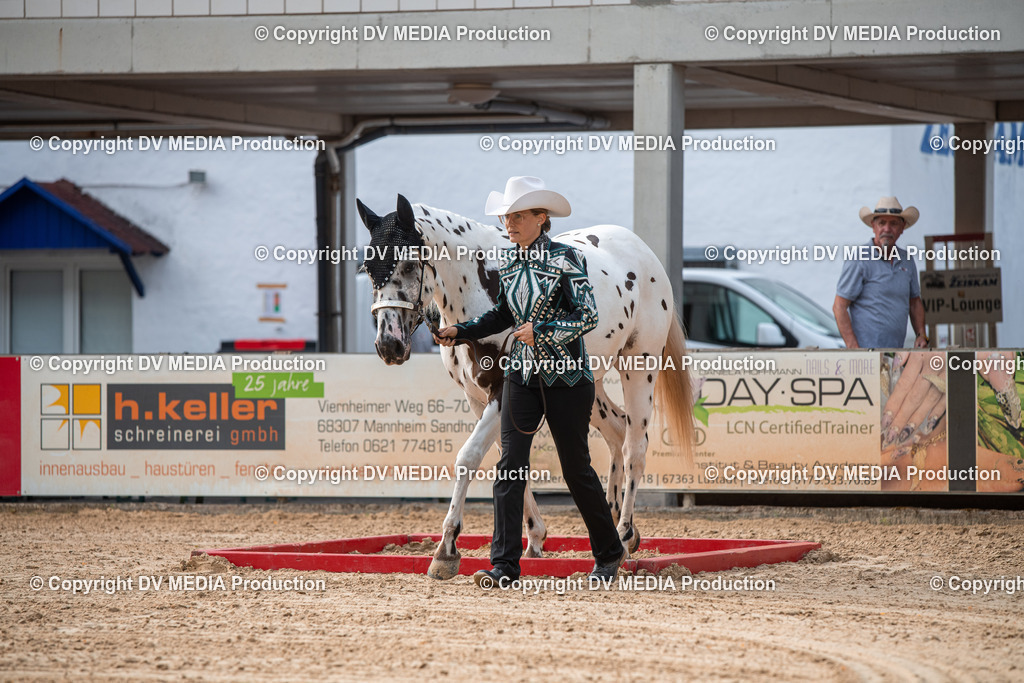 EWP_5598 | dv-media-shop - Realisiert mit Pictrs.com